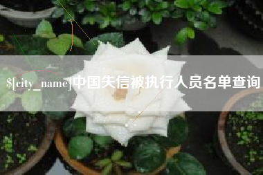 连云港中国失信被执行人员名单查询