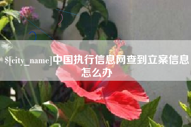 连云港中国执行信息网查到立案信息怎么办
