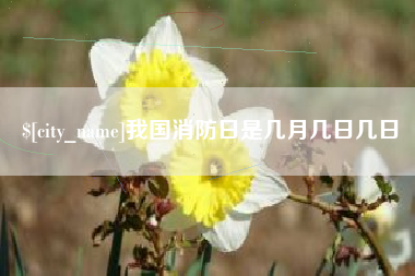 连云港我国消防日是几月几日几日