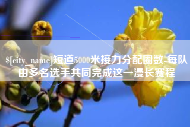 连云港短道5000米接力分配圈数-每队由多名选手共同完成这一漫长赛程