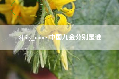 连云港中国九金分别是谁