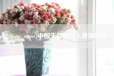连云港中国失信执行人查询官网