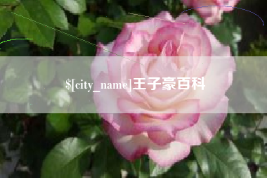 连云港王子豪百科