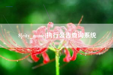 连云港执行公告查询系统