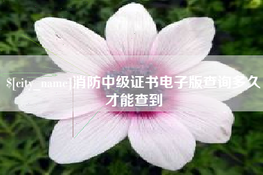 连云港消防中级证书电子版查询多久才能查到
