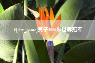 连云港男子5000米世界冠军