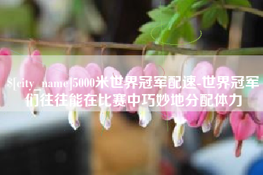 连云港5000米世界冠军配速-世界冠军们往往能在比赛中巧妙地分配体力