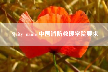 连云港中国消防救援学院要求