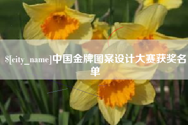 连云港中国金牌图案设计大赛获奖名单