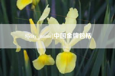 连云港中国金牌包括