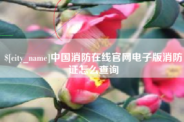 连云港中国消防在线官网电子版消防证怎么查询