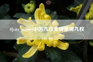 连云港中国九枚金牌是哪九枚