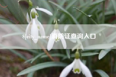 连云港消防证查询入口