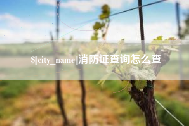 连云港消防证查询怎么查