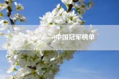 连云港中国冠军榜单