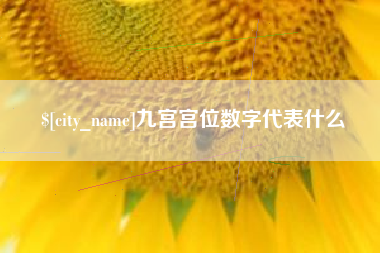 连云港九宫宫位数字代表什么