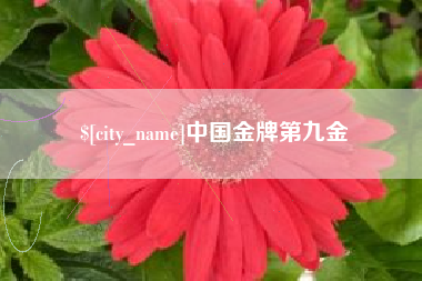 连云港中国金牌第九金