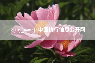 连云港1.中国执行信息公开网