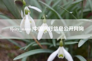 连云港中国执行信息公开网询