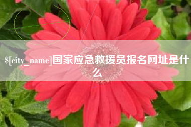 连云港国家应急救援员报名网址是什么