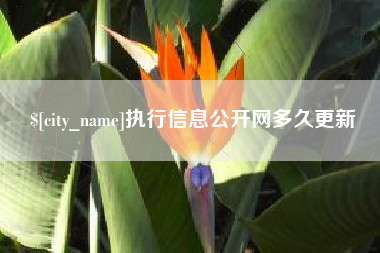 连云港执行信息公开网多久更新