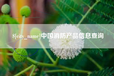 连云港中国消防产品信息查询