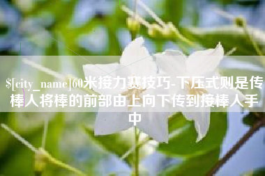 连云港60米接力赛技巧-下压式则是传棒人将棒的前部由上向下传到接棒人手中