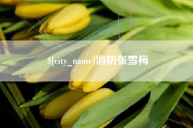 连云港消防张雪梅