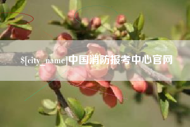 连云港中国消防报考中心官网