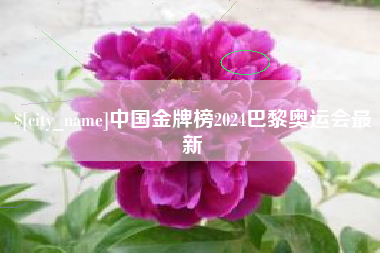连云港中国金牌榜2024巴黎奥运会最新