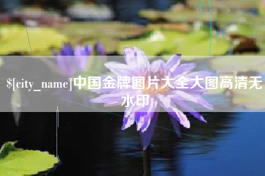 连云港中国金牌图片大全大图高清无水印