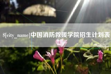 连云港中国消防救援学院招生计划表