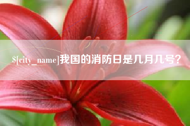 连云港我国的消防日是几月几号？
