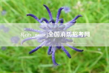 连云港全国消防招考网