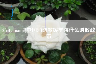 连云港中国消防救援学院什么时候政审