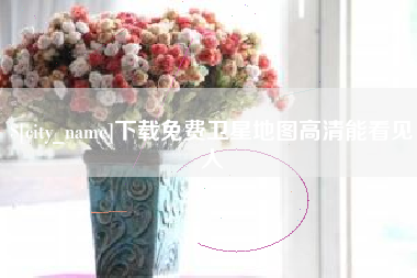 连云港下载免费卫星地图高清能看见人
