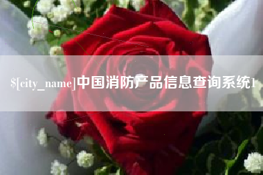 连云港中国消防产品信息查询系统1