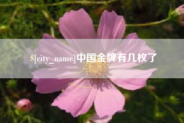 连云港中国金牌有几枚了