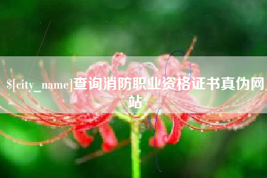 连云港查询消防职业资格证书真伪网站