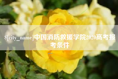 连云港中国消防救援学院2020高考报考条件