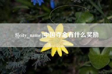 连云港中国夺金有什么奖励