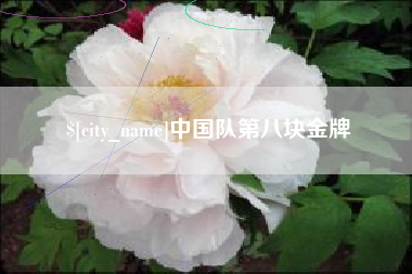 连云港中国队第八块金牌