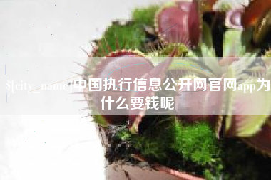 连云港中国执行信息公开网官网app为什么要钱呢