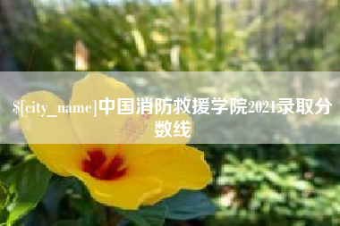 连云港中国消防救援学院2021录取分数线