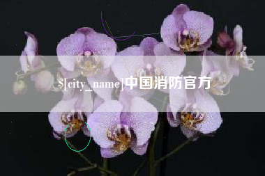 连云港中国消防官方