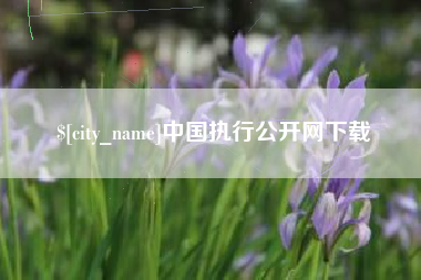 连云港中国执行公开网下载