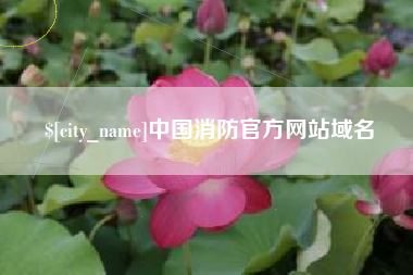 连云港中国消防官方网站域名