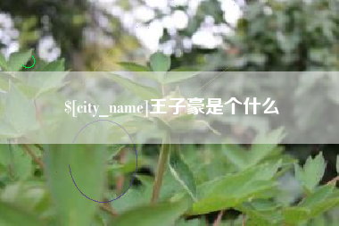 连云港王子豪是个什么