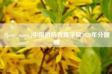 连云港中国消防救援学院2020年分数线