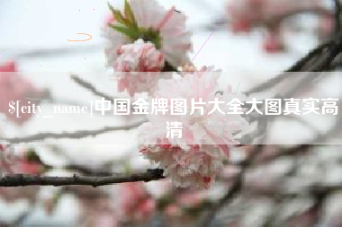 连云港中国金牌图片大全大图真实高清